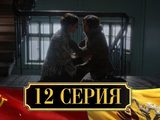    (2017) - 12-  -   