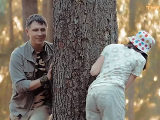 ,    (2015) - :  -   