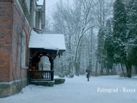 "Курт Сеит и Александра" (2014)