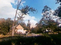 "Женщина в белом" (1981)