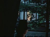 "Гардемарины, вперёд!" (1987)