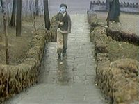 "Волны Чёрного моря" (1975)