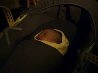 «Гремлины: Хранители леса». Отрывок