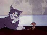 «Доигравшийся котик». Заставка на английском языке