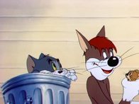 «Несчастные коты». Заставка