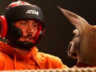 «Бой с тенью 3: Последний раунд»