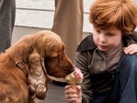 «Буль и Билл». Трейлер на французском языке